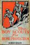 [Gutenberg 50192] • The Boy Scouts for Home Protection